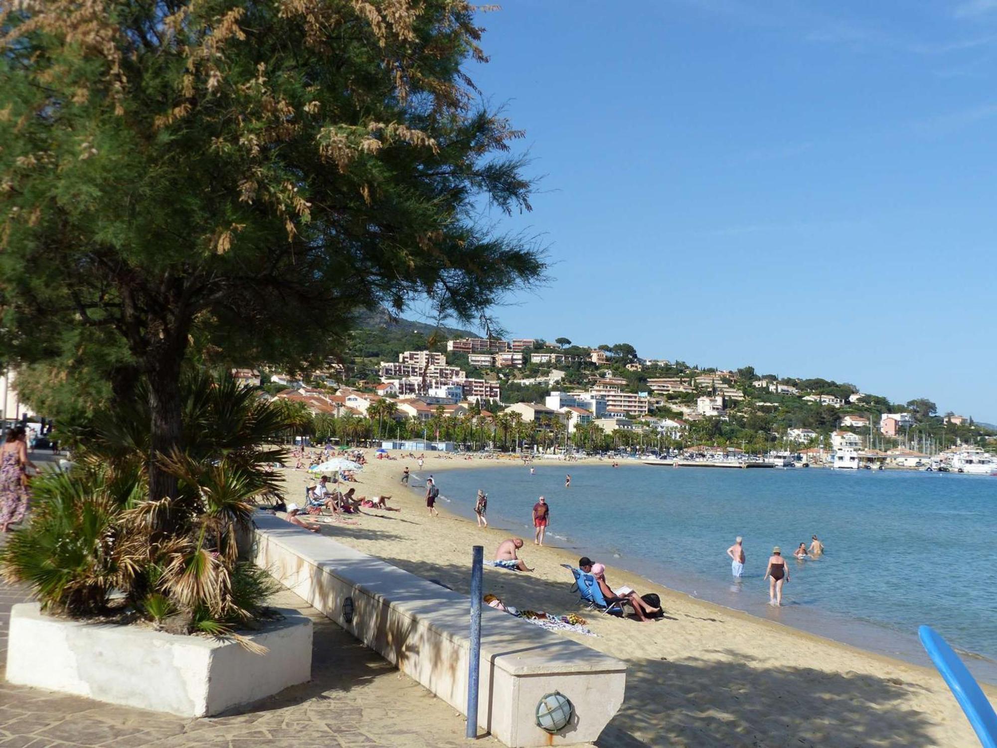 Appartement En Bord De Mer Avec Ascenseur - Le Lavandou - Fr-1-308-77 Bagian luar foto